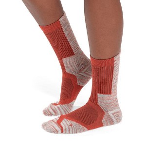 Women's On Running Explorer Merino Socks Red | 8094621_MY