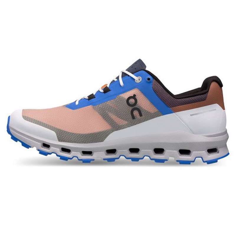 Men's On Running Cloudvista Trail Running Shoes Pink / Blue | 4897251_MY